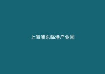 上海浦东临港镇临港新片区标准厂房出租 集成电路人工智能产业示范区 政策优惠
