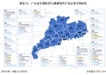 颜宁再发声：邀请全球科学家共同打造生物医药领域东方大湾区【附广东省生物医药行业前景】