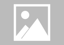 上海市顾村金地威新宝山智造园上海市宝山区宝山罗泾1000平厂房出租，配套完善