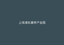 上海浦东康桥镇康桥制造区厂房出租 104地块 可分租 汽车零部件产业基地