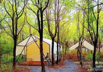 【园区直租】上海宝山淞南镇 博绣荟文创园办公楼出租 入驻即享政策红利