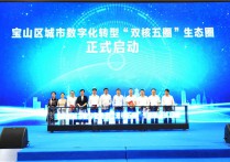 聚力“数字科创”品牌宝山全面启动城市数字化转型“双核五圈”建设