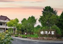 【园区直租】上海宝山罗泾镇 新能源汽车创新园（上海新能源汽车配套产业园）厂房出租 入驻即享政策红利