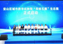 启动“双核五圈”建设 上海宝山推进城市数字化转型