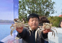 建设无边界乡村上海宝山“五村联动”发展吸引“人回乡”