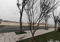 【园区直租】上海宝山张庙街道 交运智慧湾科创园办公楼出租 入驻即享政策红利