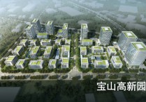 考察半小时就拍板！这家企业见证“宝山速度”