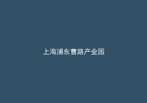 上海浦东曹路镇曹路产业园厂房出租 智能装备产业用地 可办环评 出行便利